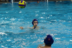 DSC_8334