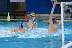 tomo-finale50
