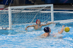 tomo-primorac-lazio050